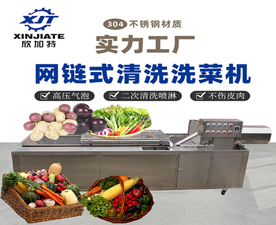 网链清洗洗菜机XJT-WL3300